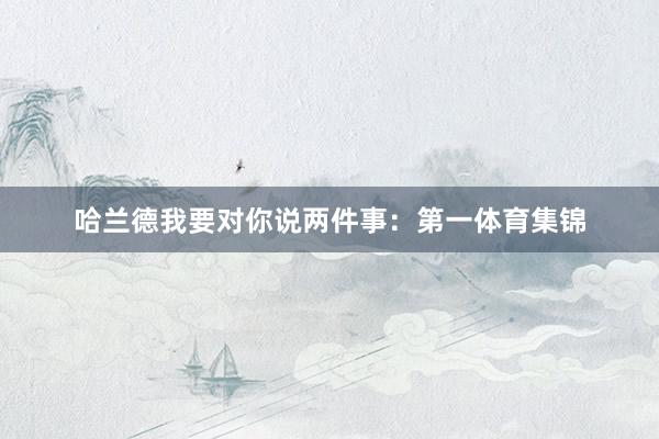 哈兰德我要对你说两件事：第一体育集锦