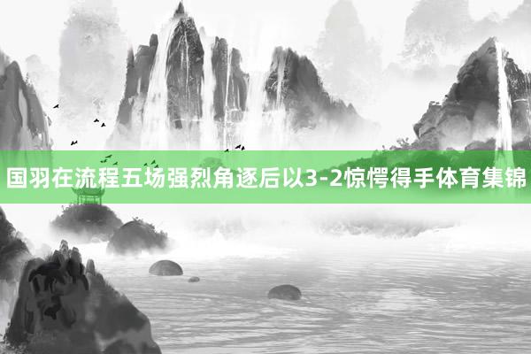 国羽在流程五场强烈角逐后以3-2惊愕得手体育集锦
