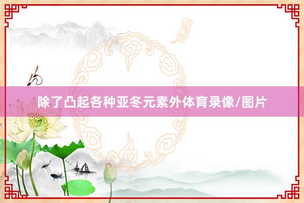 除了凸起各种亚冬元素外体育录像/图片