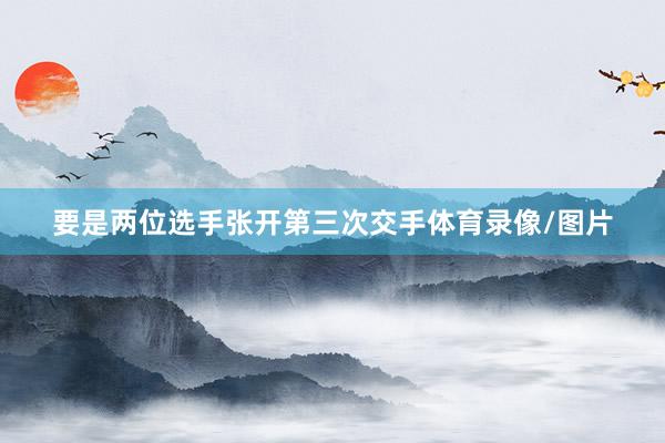 要是两位选手张开第三次交手体育录像/图片