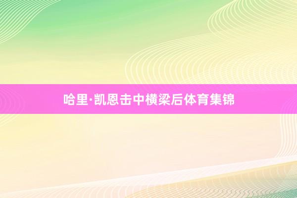 哈里·凯恩击中横梁后体育集锦