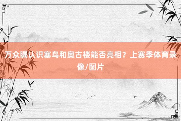 万众瞩认识塞鸟和奥古楼能否亮相？上赛季体育录像/图片