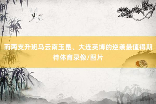 而两支升班马云南玉昆、大连英博的逆袭最值得期待体育录像/图片