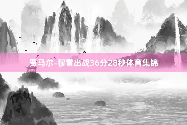 贾马尔-穆雷出战36分28秒体育集锦