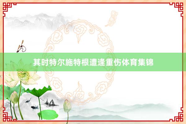 其时特尔施特根遭逢重伤体育集锦