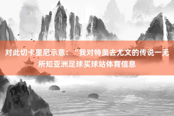 对此切卡里尼示意：“我对特奥去尤文的传说一无所知亚洲足球买球站体育信息