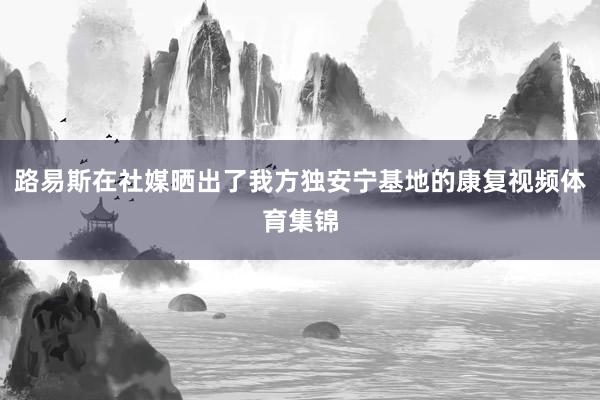 路易斯在社媒晒出了我方独安宁基地的康复视频体育集锦