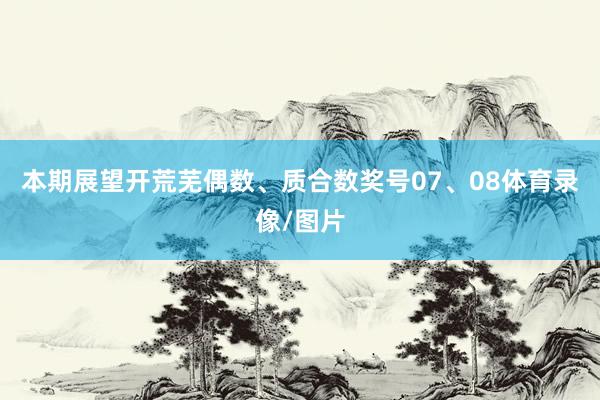 本期展望开荒芜偶数、质合数奖号07、08体育录像/图片