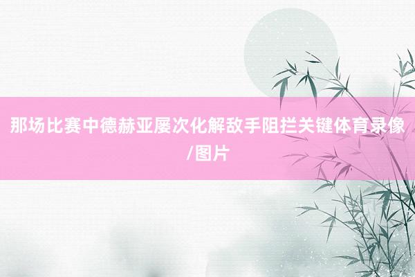 那场比赛中德赫亚屡次化解敌手阻拦关键体育录像/图片