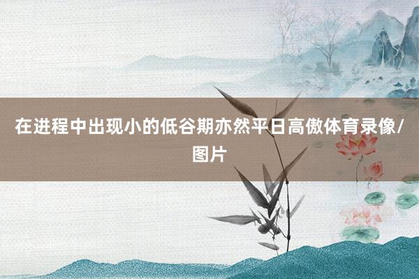 在进程中出现小的低谷期亦然平日高傲体育录像/图片