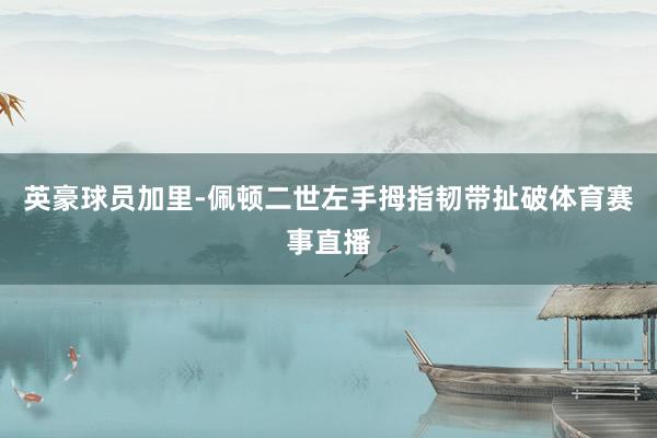 英豪球员加里-佩顿二世左手拇指韧带扯破体育赛事直播