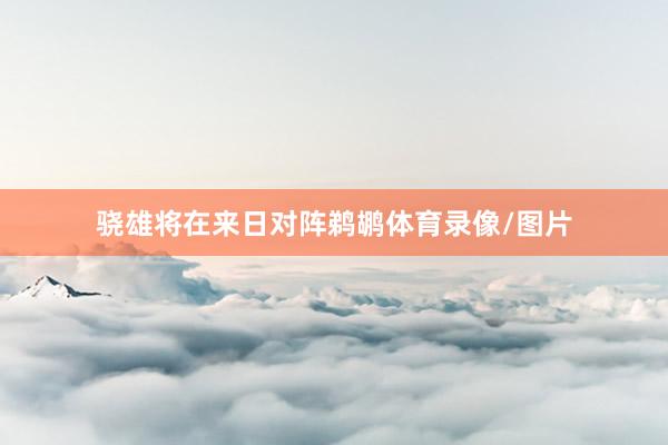 骁雄将在来日对阵鹈鹕体育录像/图片