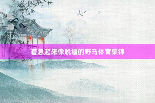 着急起来像脱缰的野马体育集锦