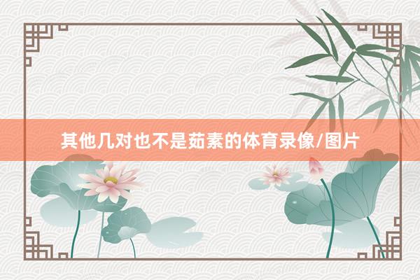 其他几对也不是茹素的体育录像/图片