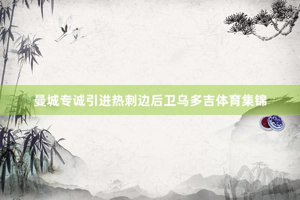 曼城专诚引进热刺边后卫乌多吉体育集锦