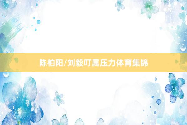 陈柏阳/刘毅叮属压力体育集锦
