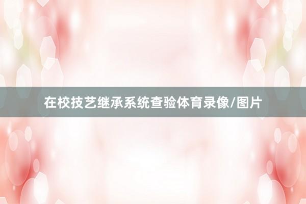 在校技艺继承系统查验体育录像/图片