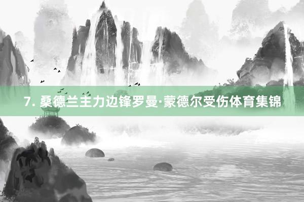 7. 桑德兰主力边锋罗曼·蒙德尔受伤体育集锦