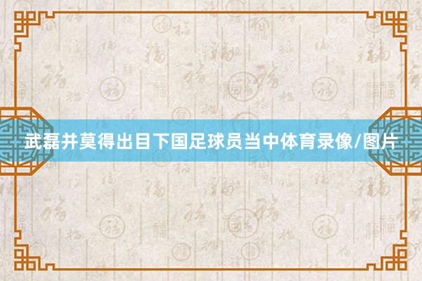武磊并莫得出目下国足球员当中体育录像/图片