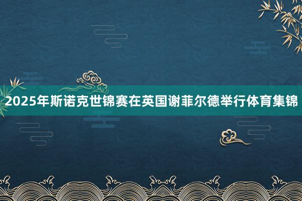 2025年斯诺克世锦赛在英国谢菲尔德举行体育集锦