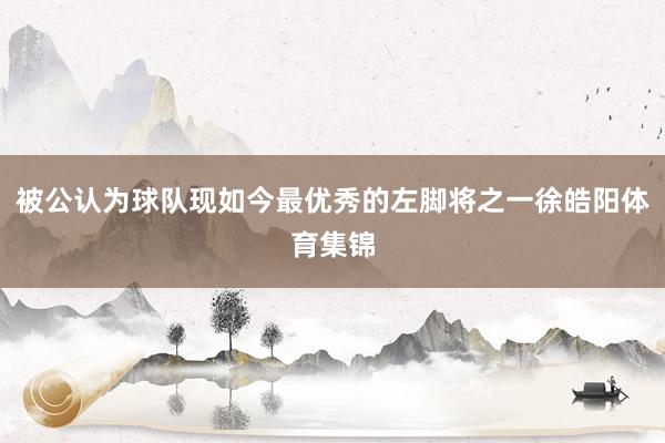 被公认为球队现如今最优秀的左脚将之一徐皓阳体育集锦
