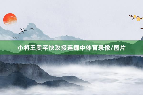小将王奥芊快攻接连掷中体育录像/图片