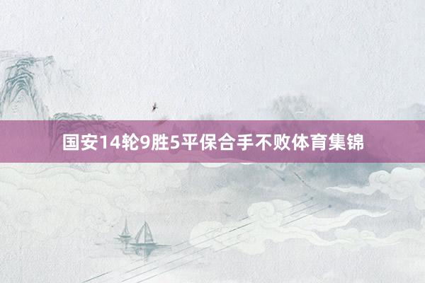 国安14轮9胜5平保合手不败体育集锦