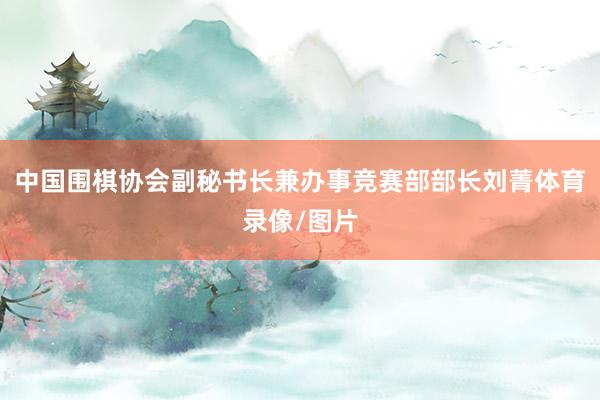 中国围棋协会副秘书长兼办事竞赛部部长刘菁体育录像/图片