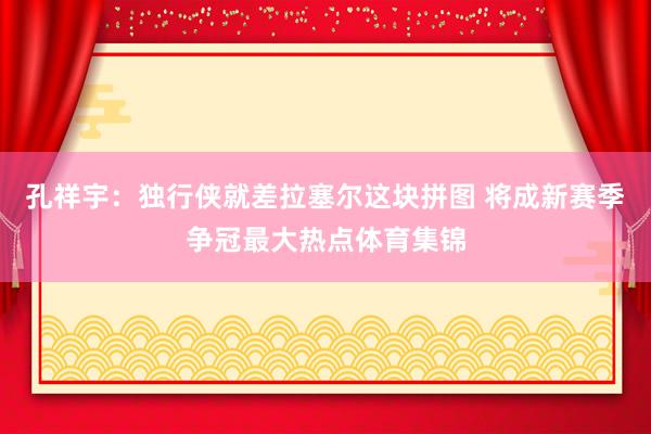 孔祥宇：独行侠就差拉塞尔这块拼图 将成新赛季争冠最大热点体育集锦