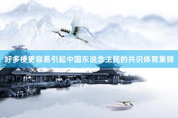 好多梗更容易引起中国东说念主民的共识体育集锦