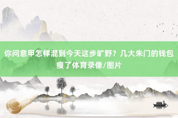 你问意甲怎样混到今天这步旷野？几大朱门的钱包瘦了体育录像/图片