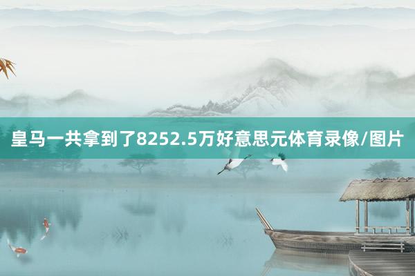 皇马一共拿到了8252.5万好意思元体育录像/图片