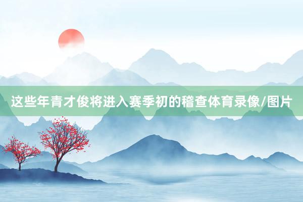 这些年青才俊将进入赛季初的稽查体育录像/图片