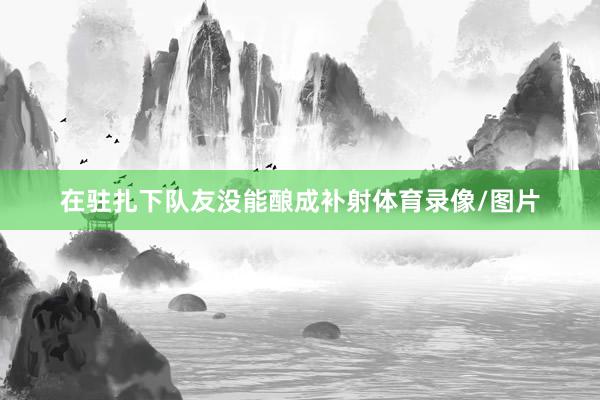在驻扎下队友没能酿成补射体育录像/图片