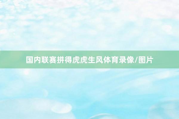 国内联赛拼得虎虎生风体育录像/图片