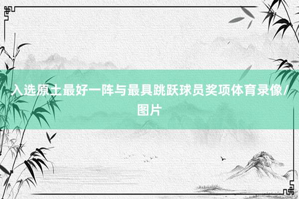 入选原土最好一阵与最具跳跃球员奖项体育录像/图片