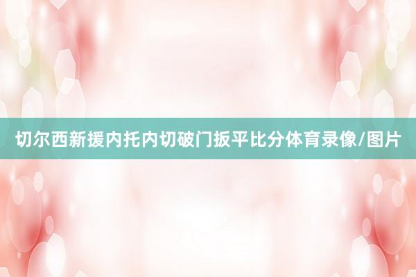 切尔西新援内托内切破门扳平比分体育录像/图片