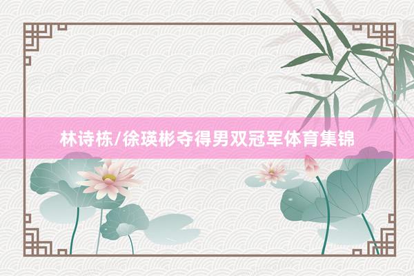 林诗栋/徐瑛彬夺得男双冠军体育集锦