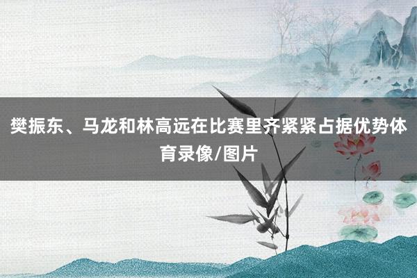 樊振东、马龙和林高远在比赛里齐紧紧占据优势体育录像/图片
