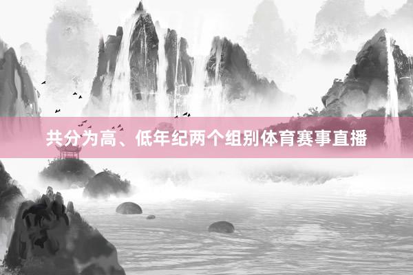 共分为高、低年纪两个组别体育赛事直播