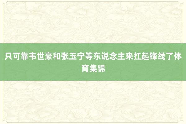 只可靠韦世豪和张玉宁等东说念主来扛起锋线了体育集锦