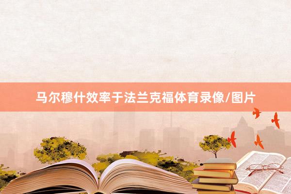 马尔穆什效率于法兰克福体育录像/图片