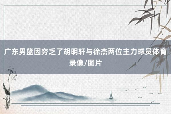 广东男篮因穷乏了胡明轩与徐杰两位主力球员体育录像/图片
