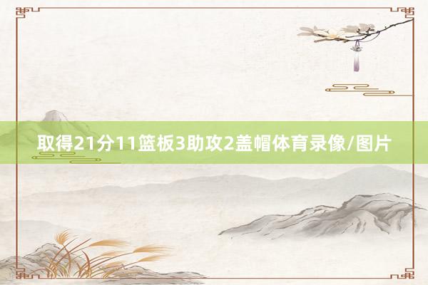 取得21分11篮板3助攻2盖帽体育录像/图片