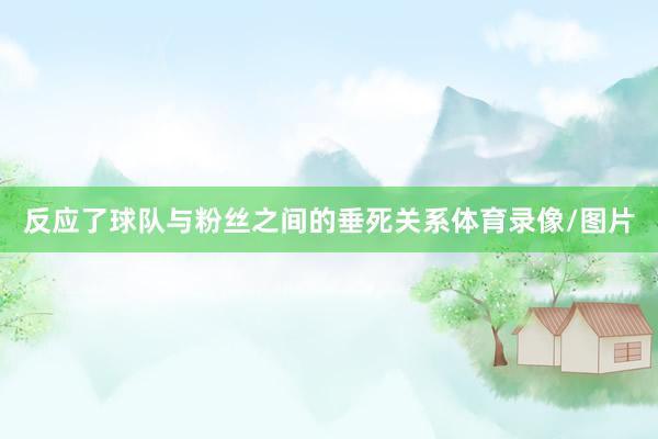 反应了球队与粉丝之间的垂死关系体育录像/图片