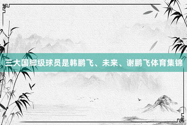 三大国脚级球员是韩鹏飞、未来、谢鹏飞体育集锦