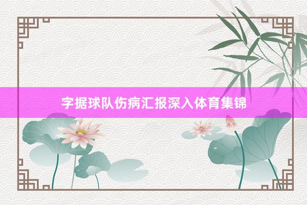 字据球队伤病汇报深入体育集锦