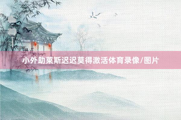 小外助莱斯迟迟莫得激活体育录像/图片