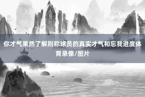 你才气果然了解别称球员的真实才气和忘我进度体育录像/图片