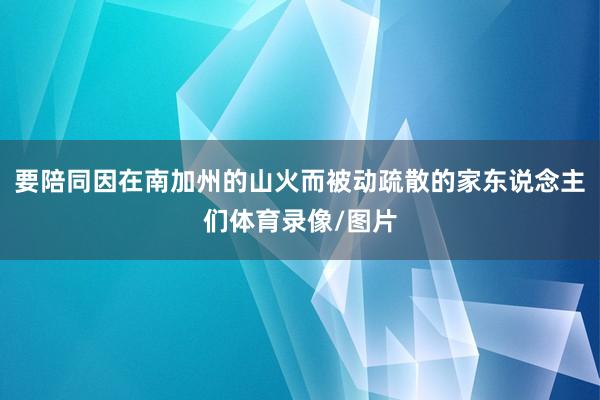 要陪同因在南加州的山火而被动疏散的家东说念主们体育录像/图片